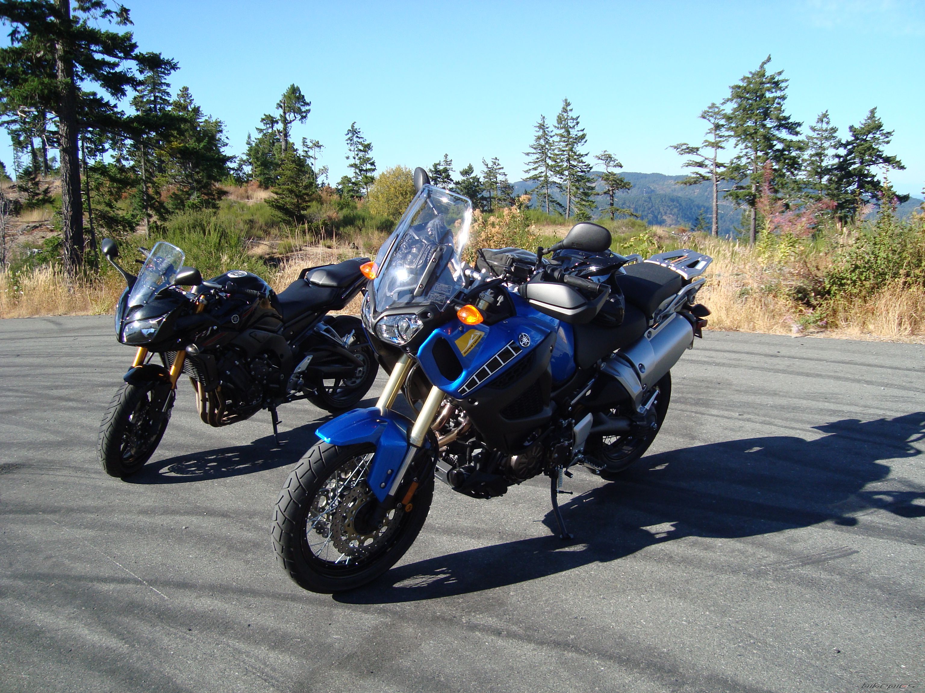 Photo 2470574