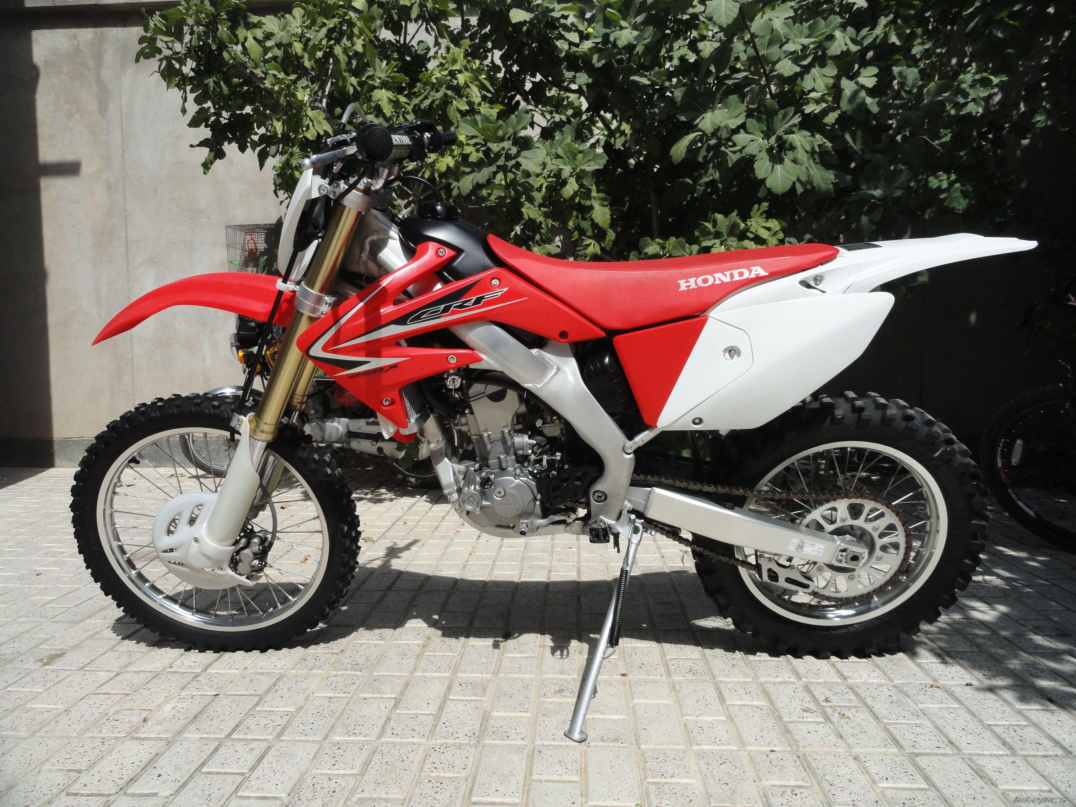 Photo 2470598