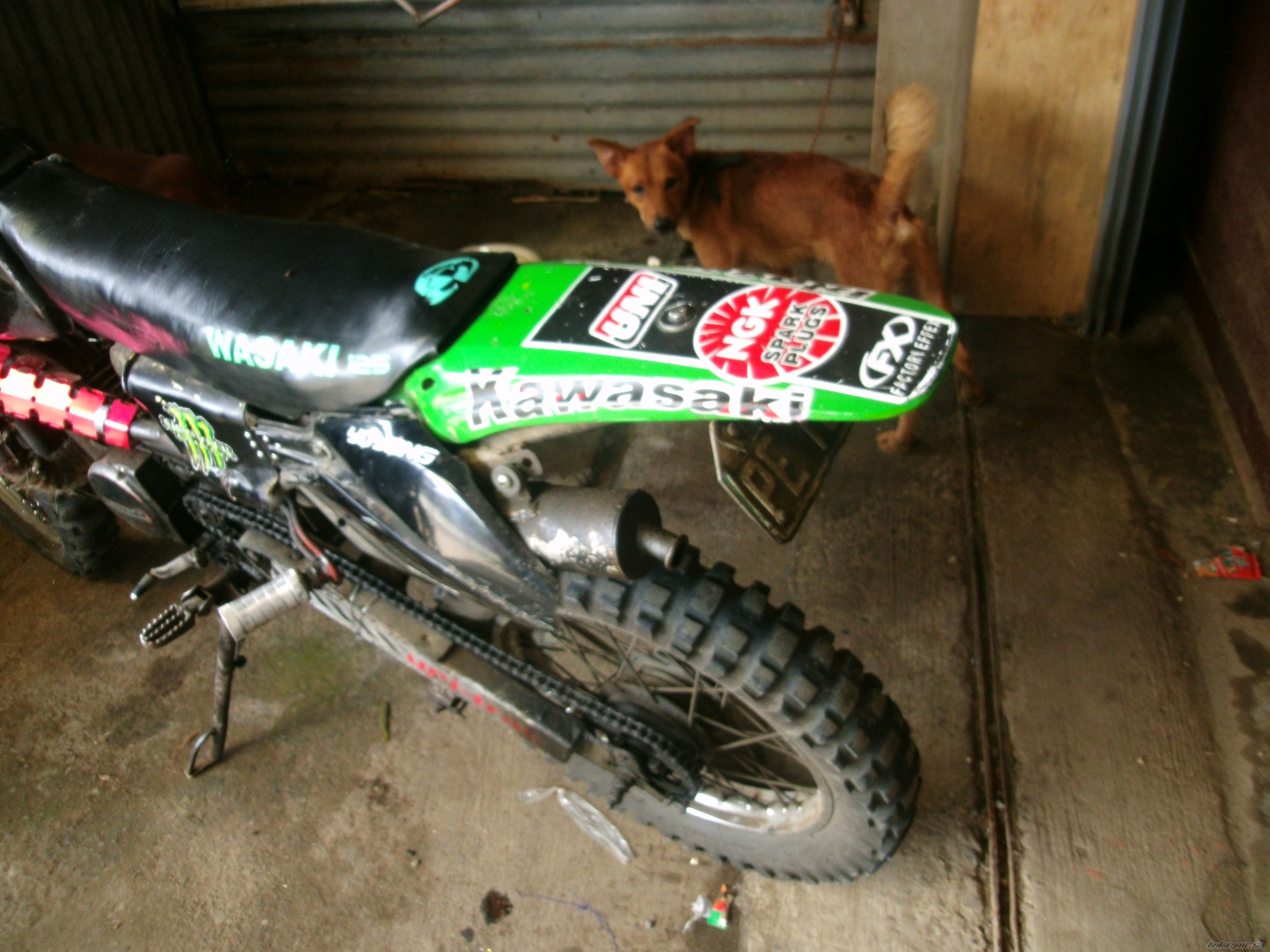 Photo 2470611