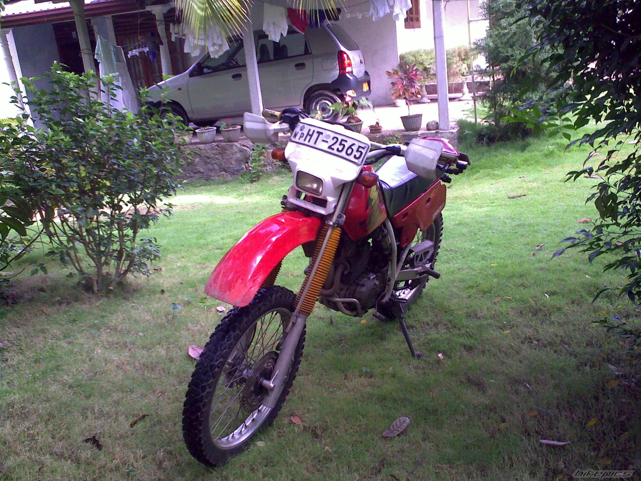 Photo 2470637