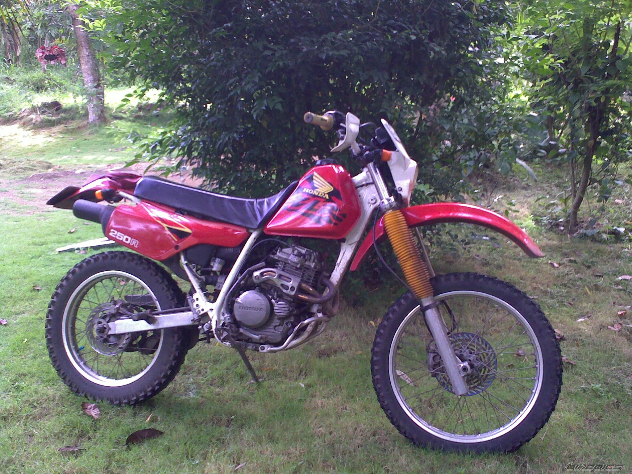 Photo 2470638