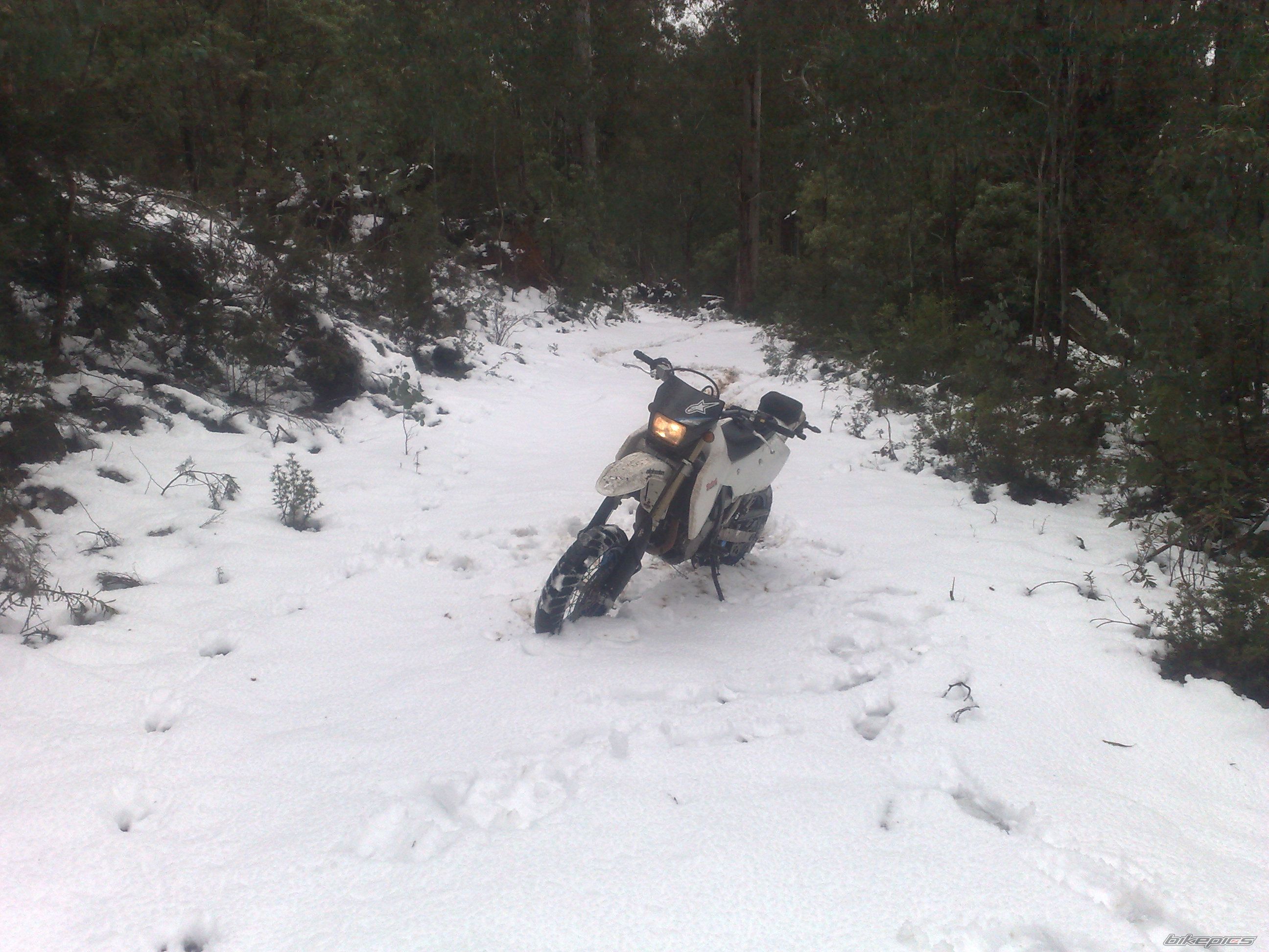 Bike Photo 2470651