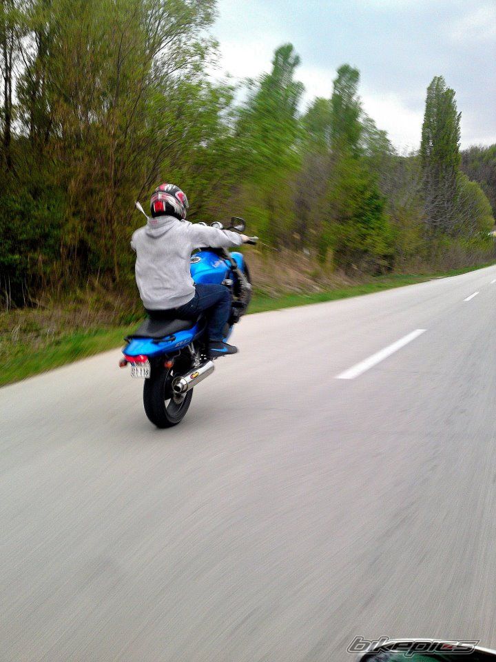 Photo 2470686