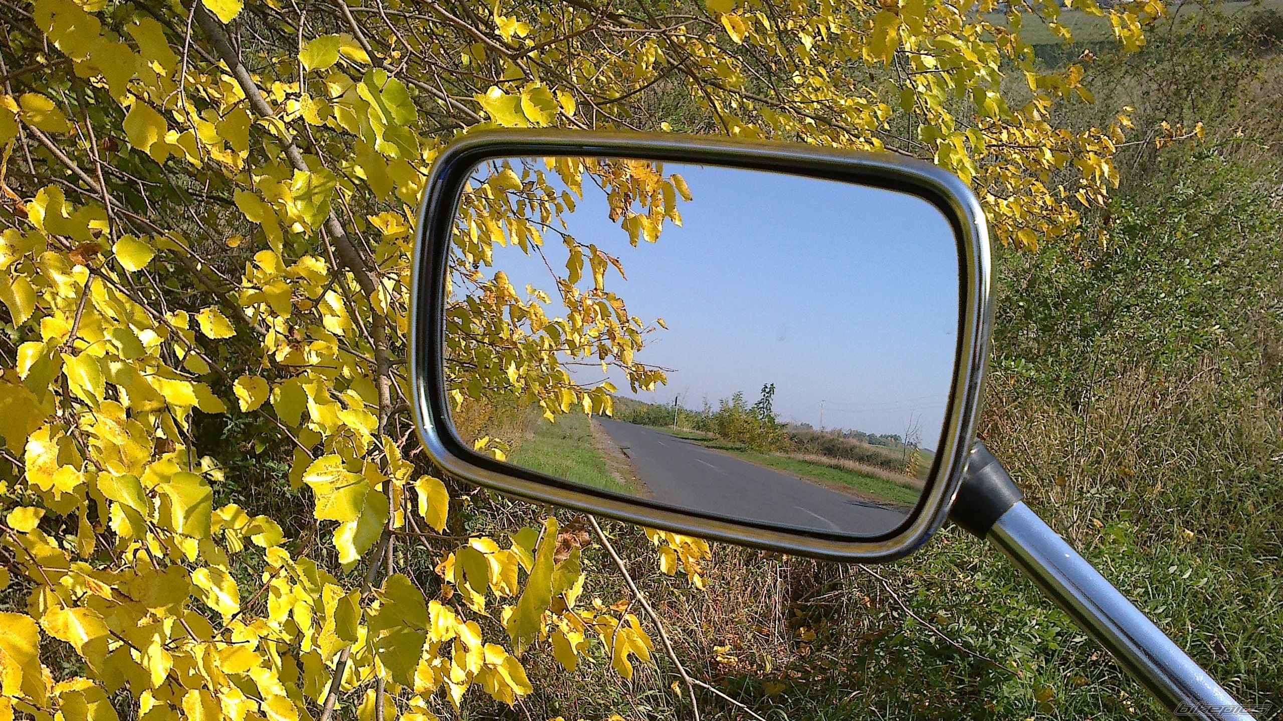 Photo 2470769