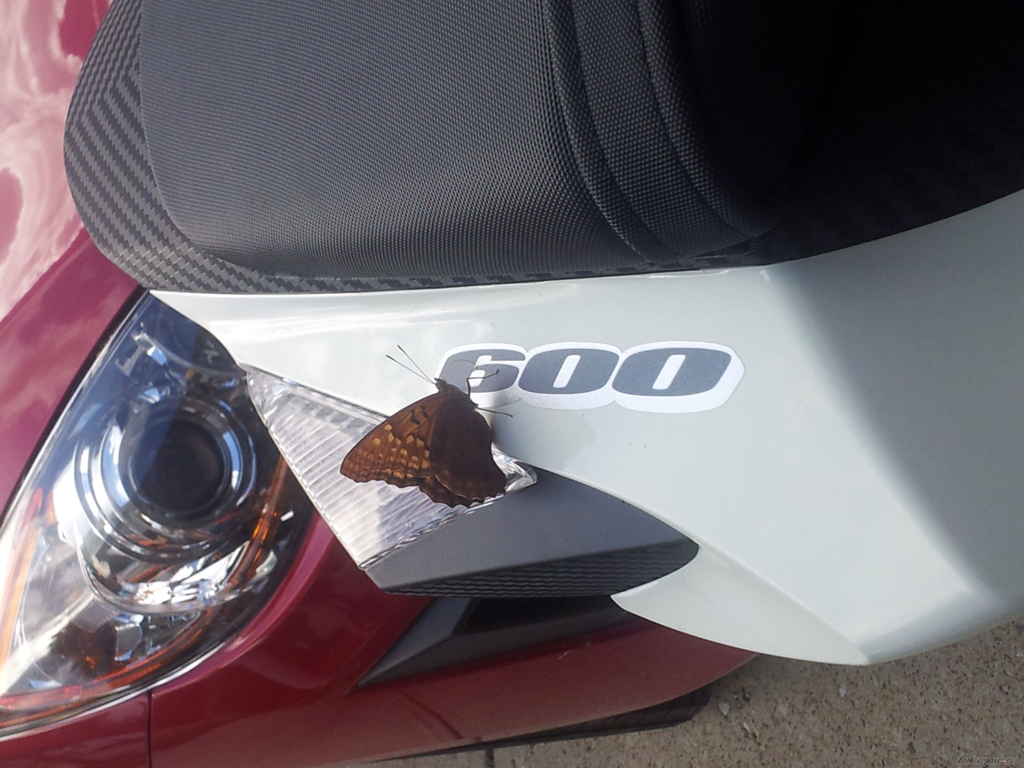 Photo 2470775
