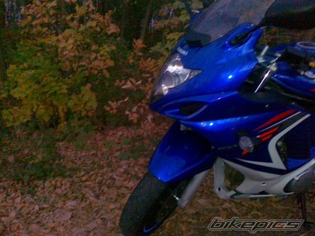 Photo 2470918