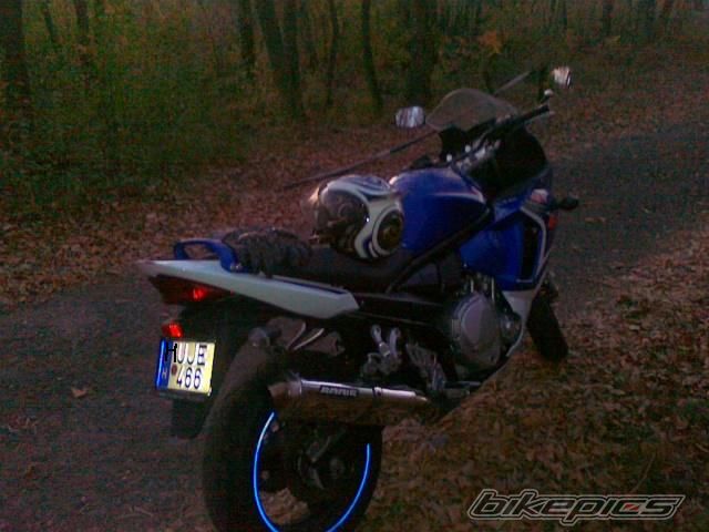 Photo 2470920
