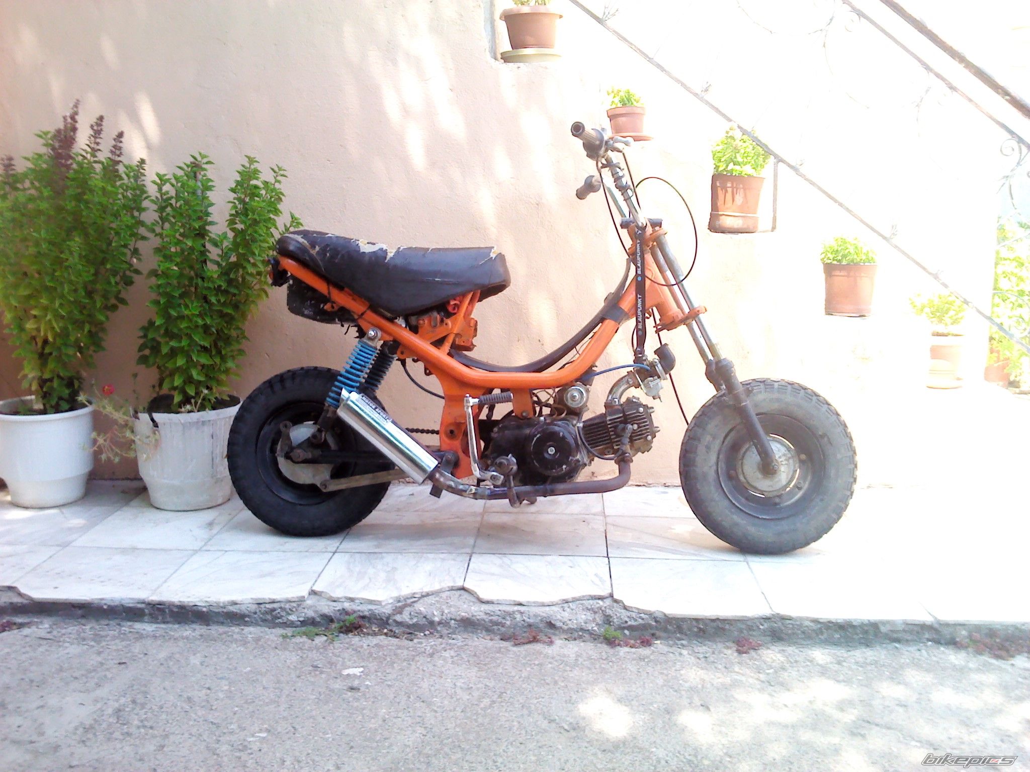 Photo 2470978