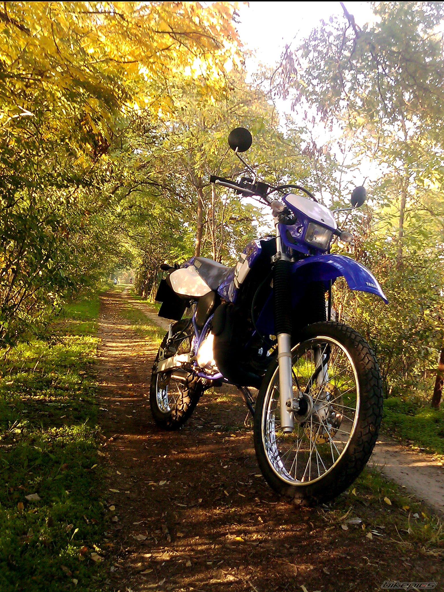 Photo 2471236