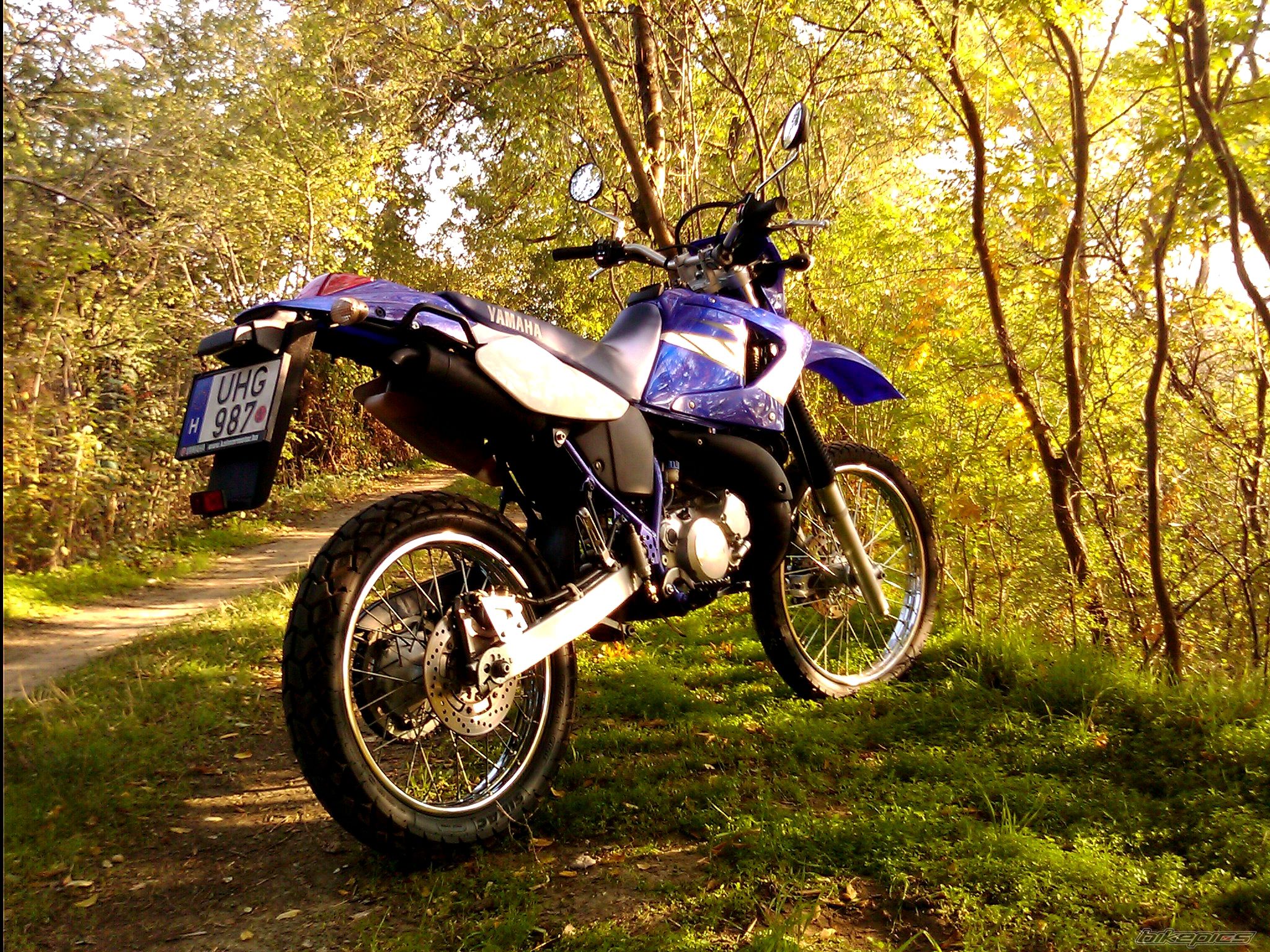 Photo 2471238
