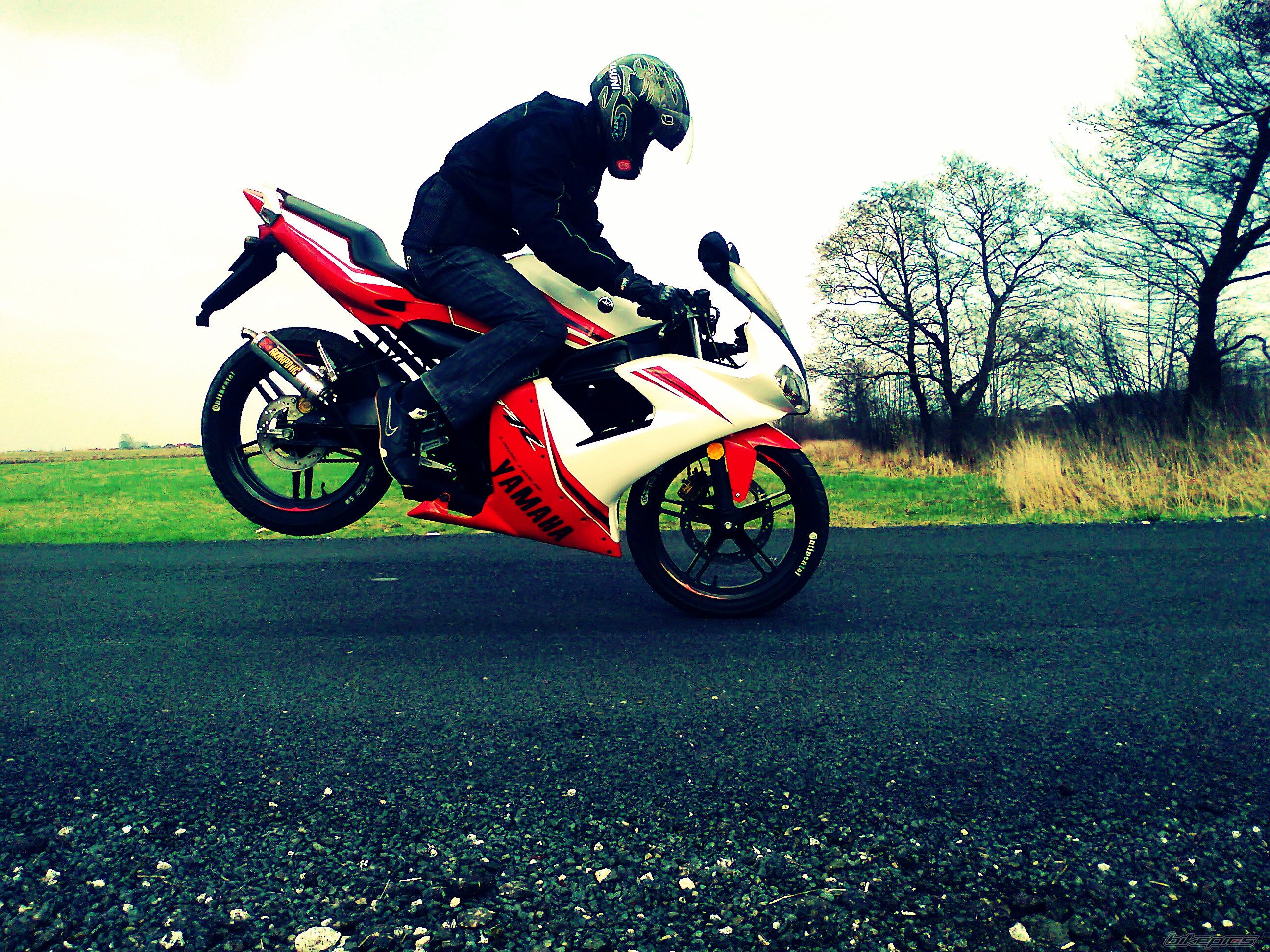 Photo 2471279