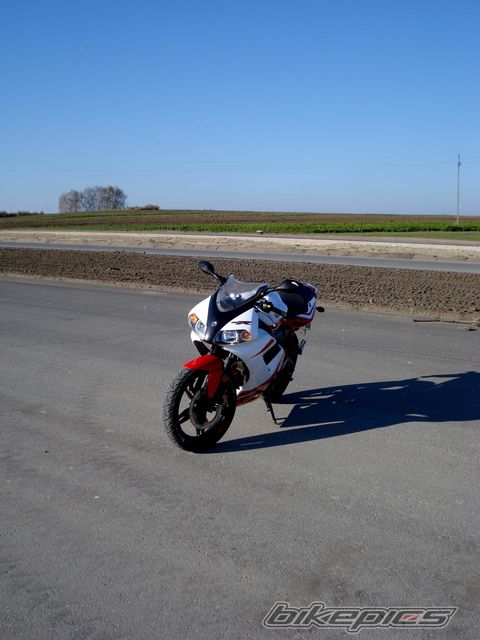 Photo 2471290