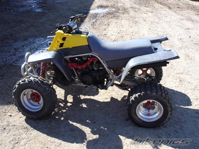 Photo 247133