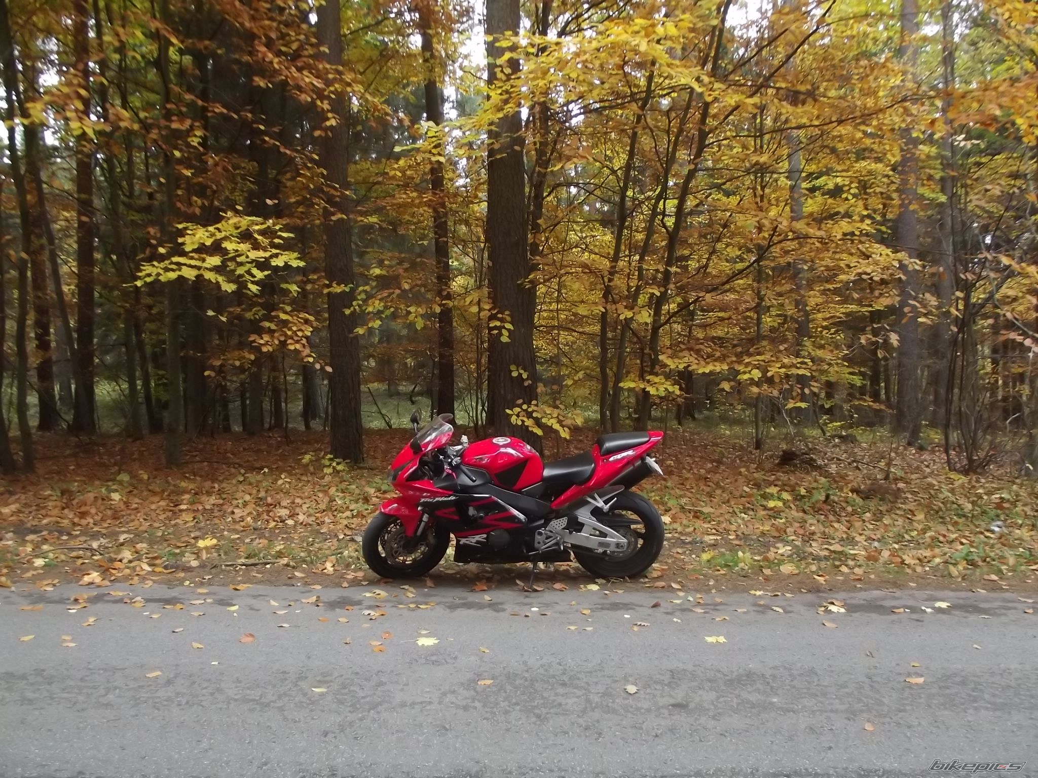 Photo 2471333