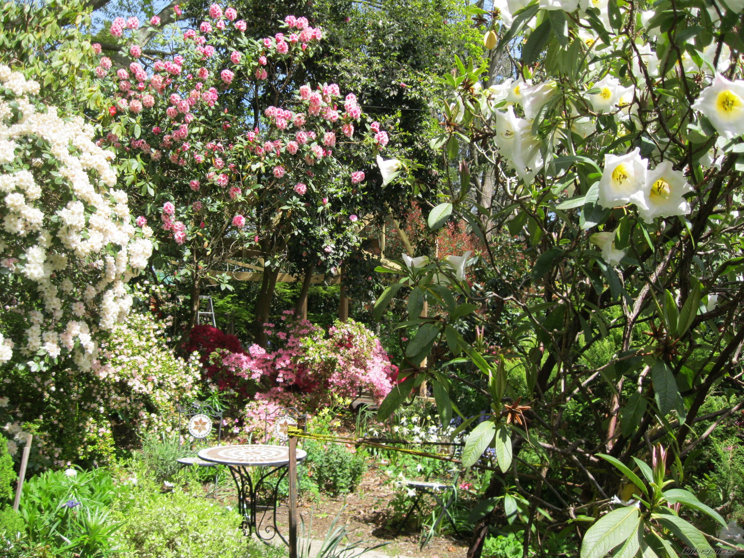 Photo 2471366