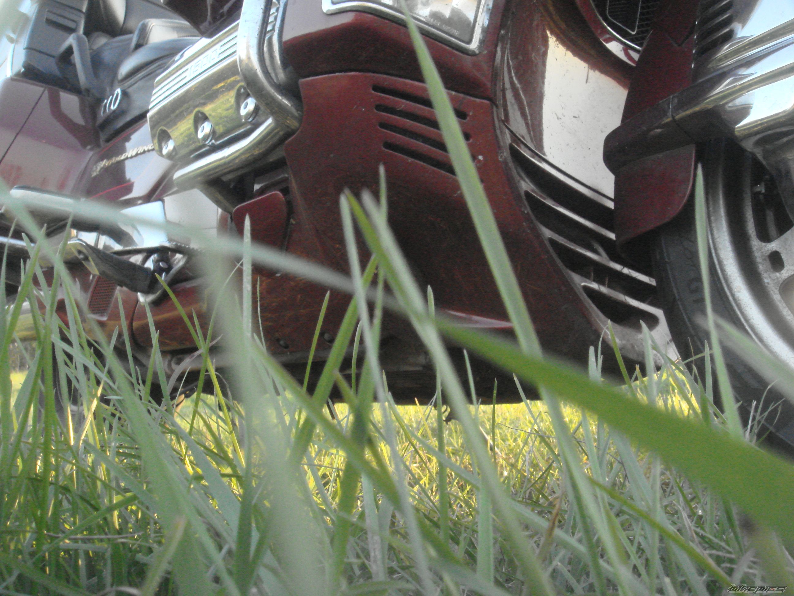 Photo 2471449