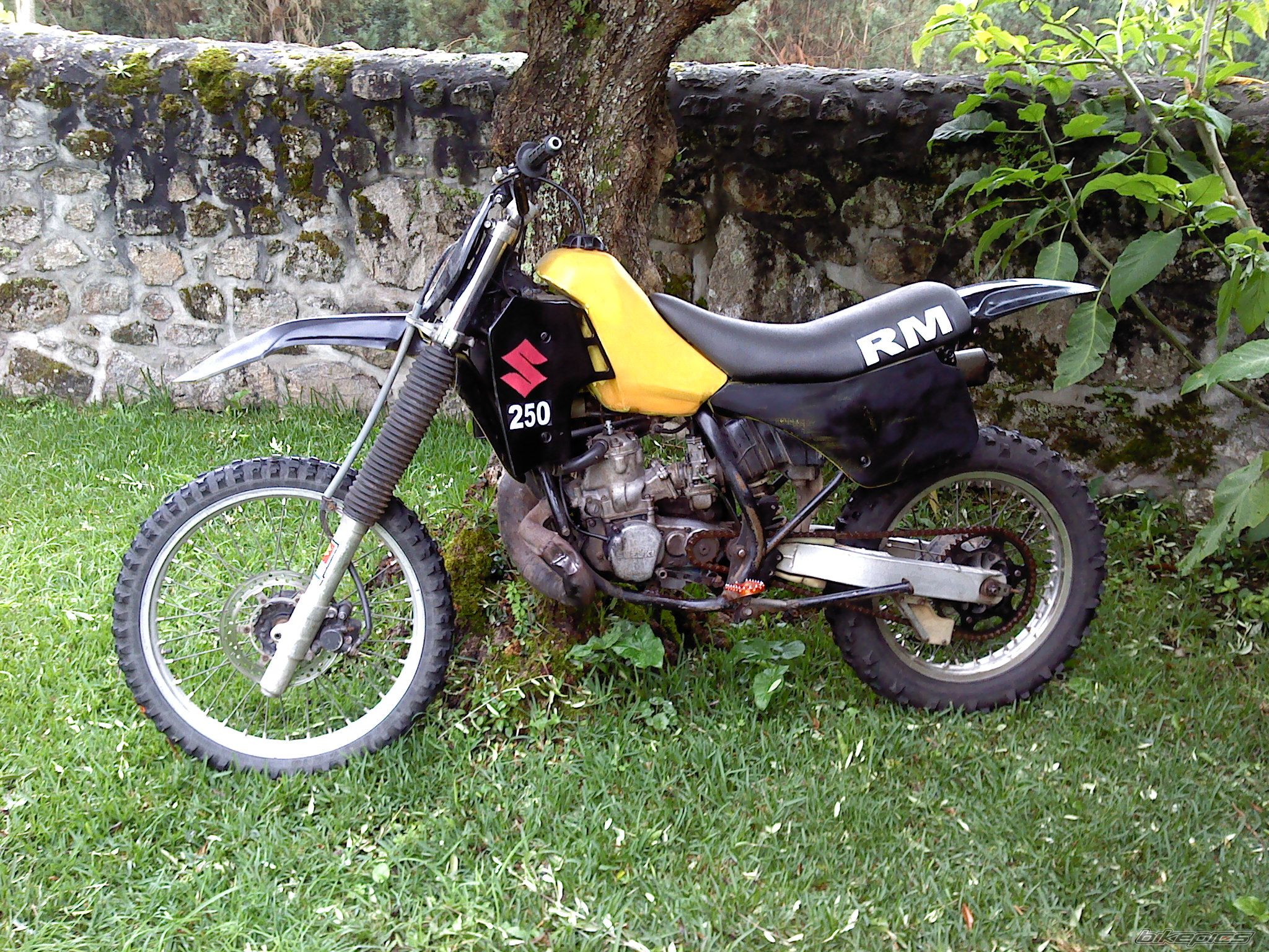 Photo 2471456