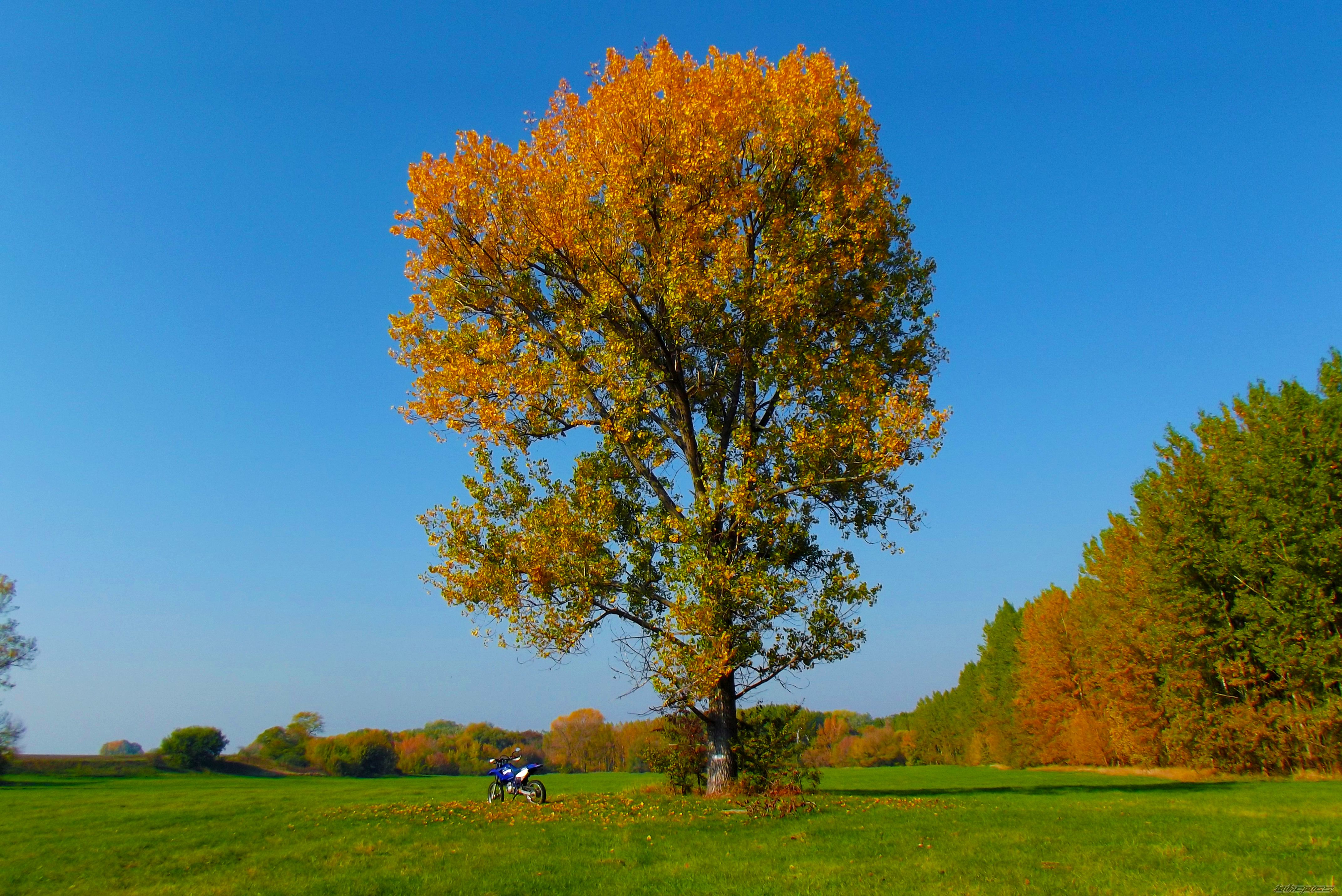 Photo 2471465