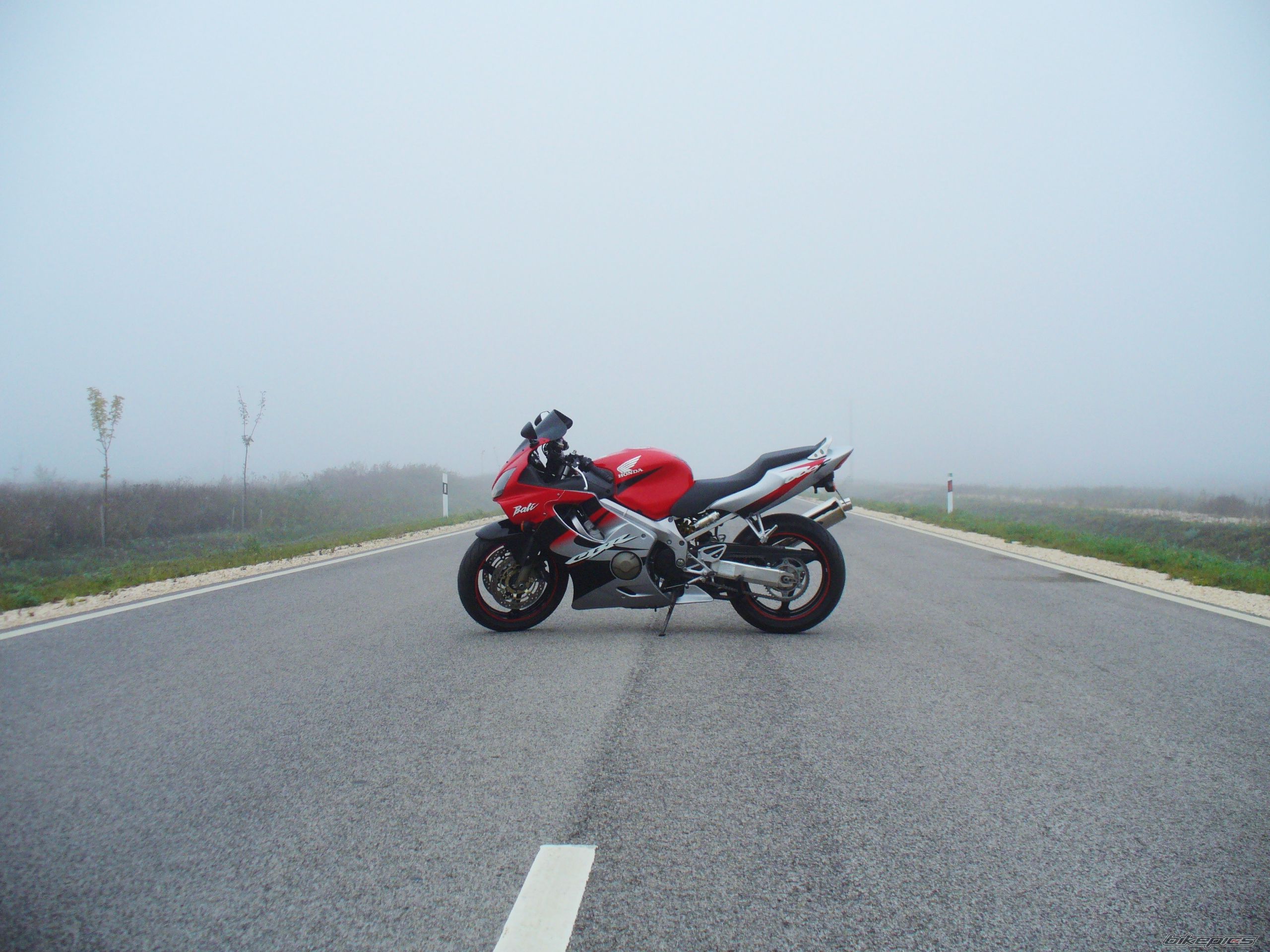 Photo 2471469