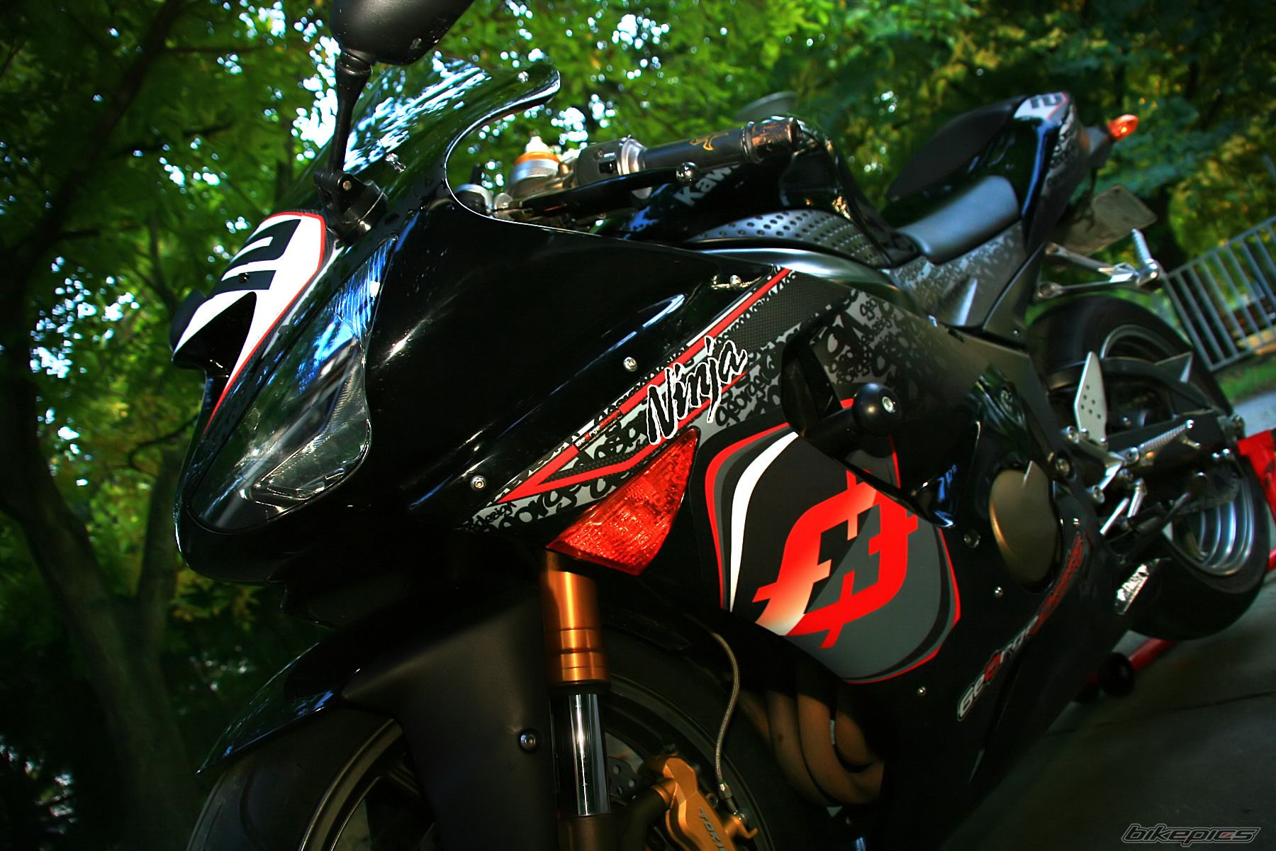 Photo 2471553