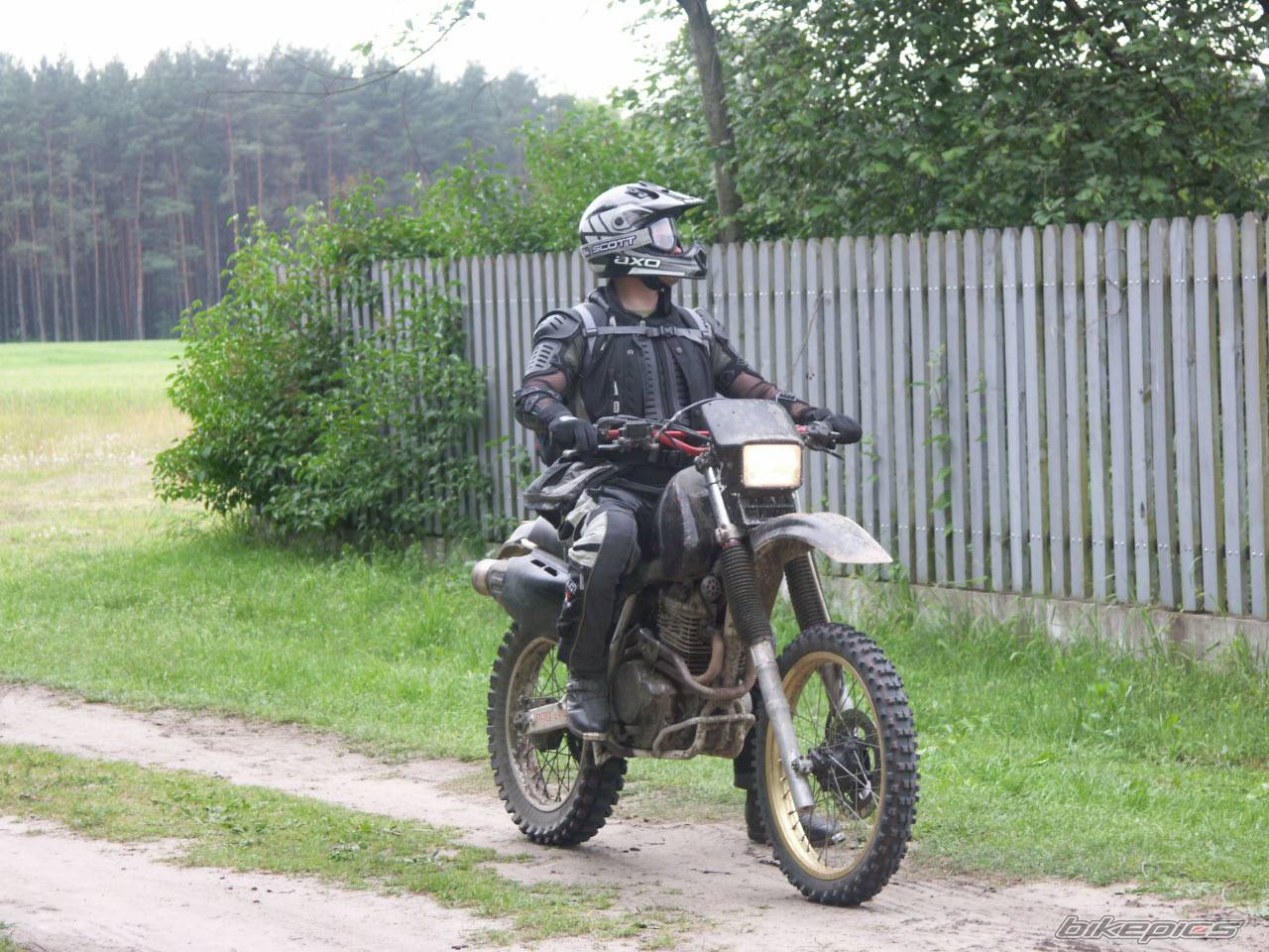 Bike Photo 247161