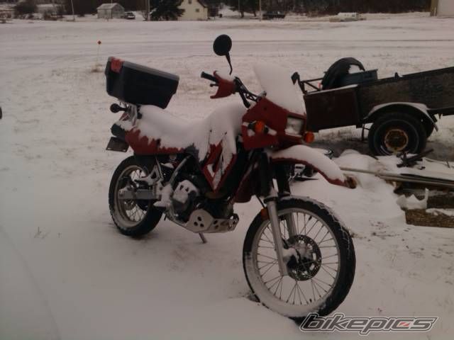 Bike Photo 2471632