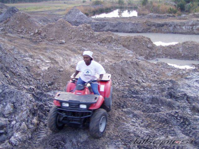 Photo 247169
