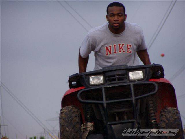Photo 247170