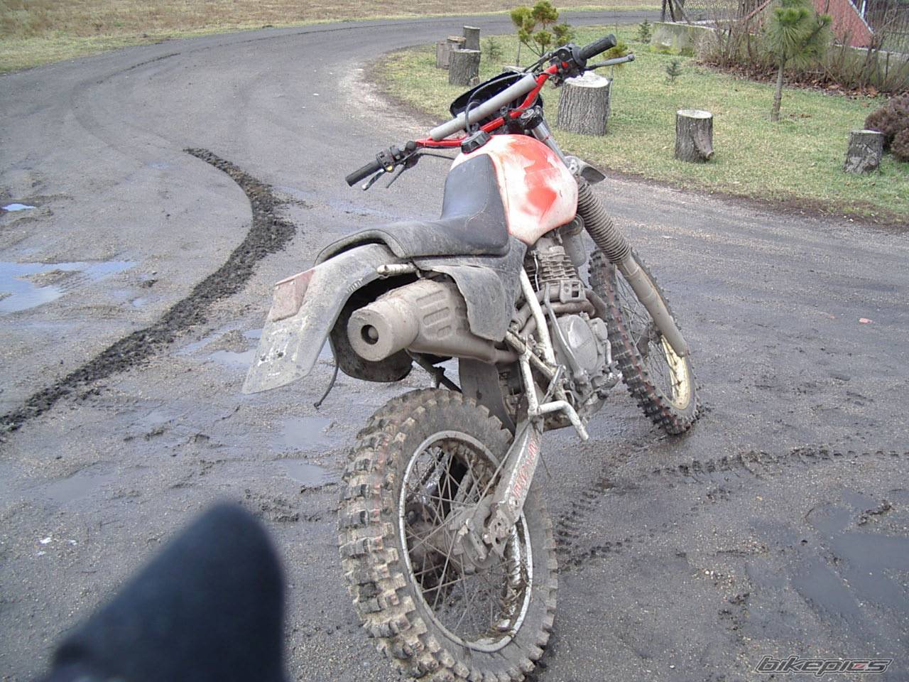 Bike Photo 247173