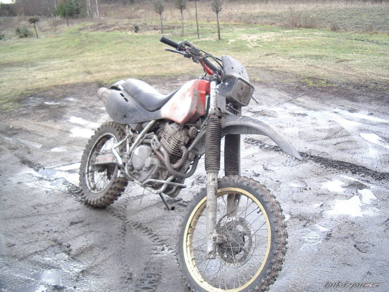 Bike Photo 247174