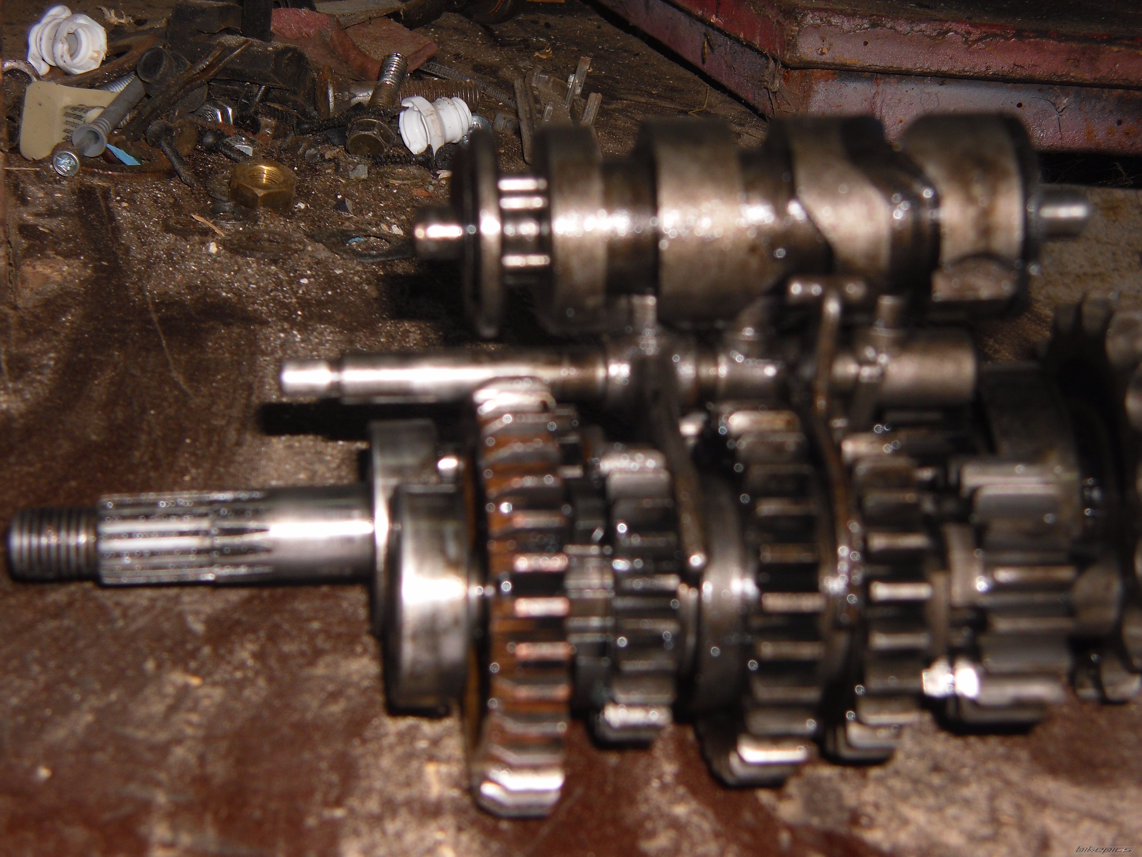 Photo 2471844