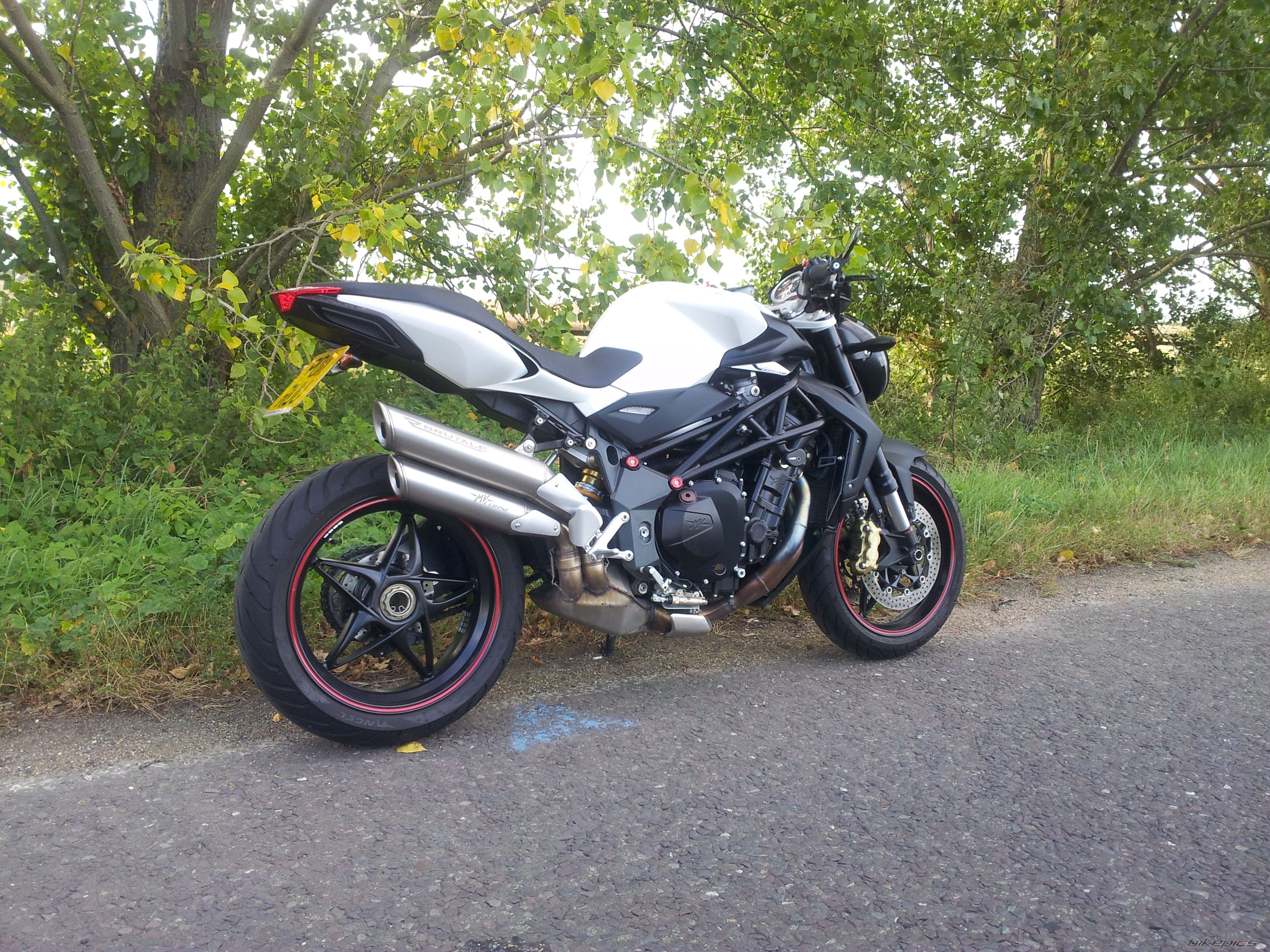 Photo 2471845