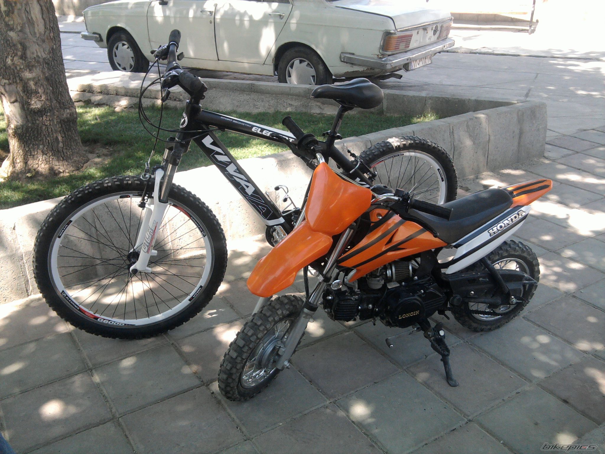 Photo 2471855