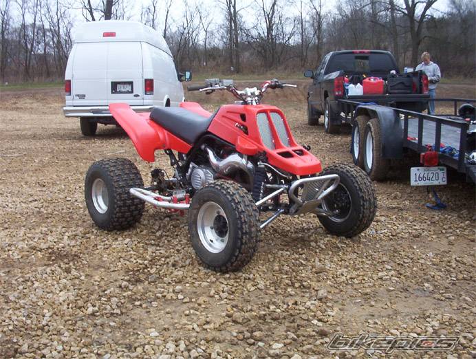 Photo 247187