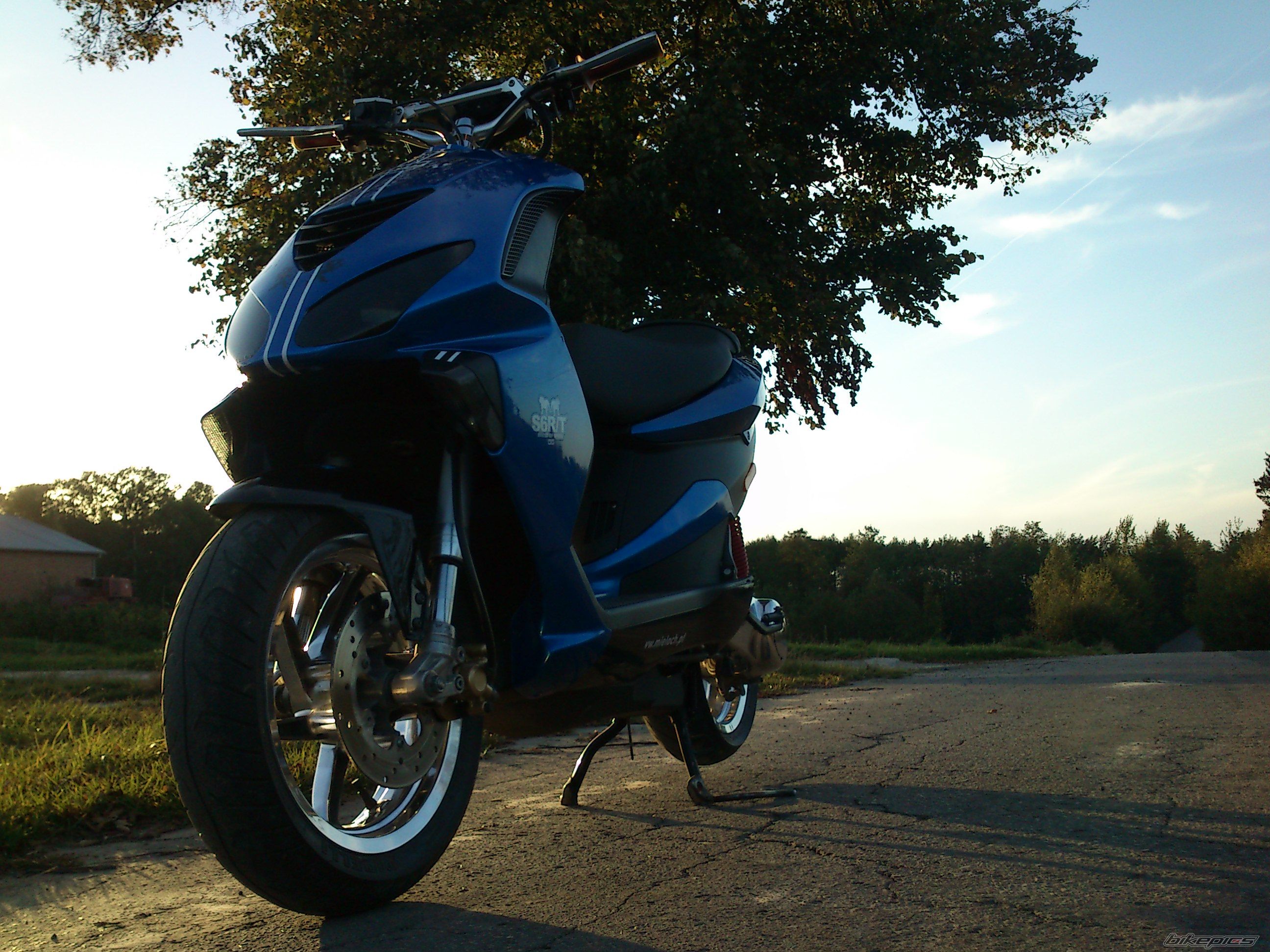 Photo 2471918