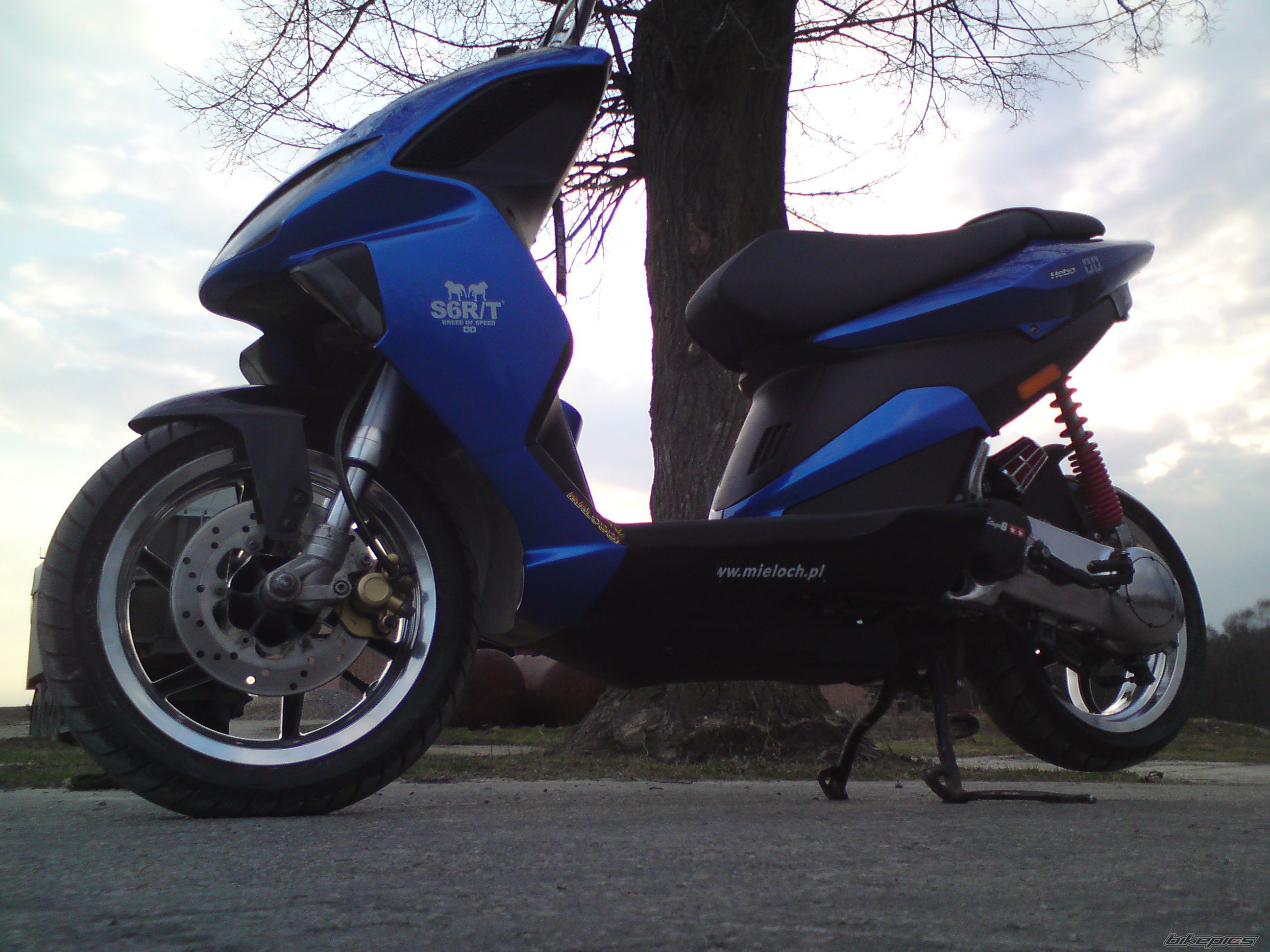 Photo 2471921