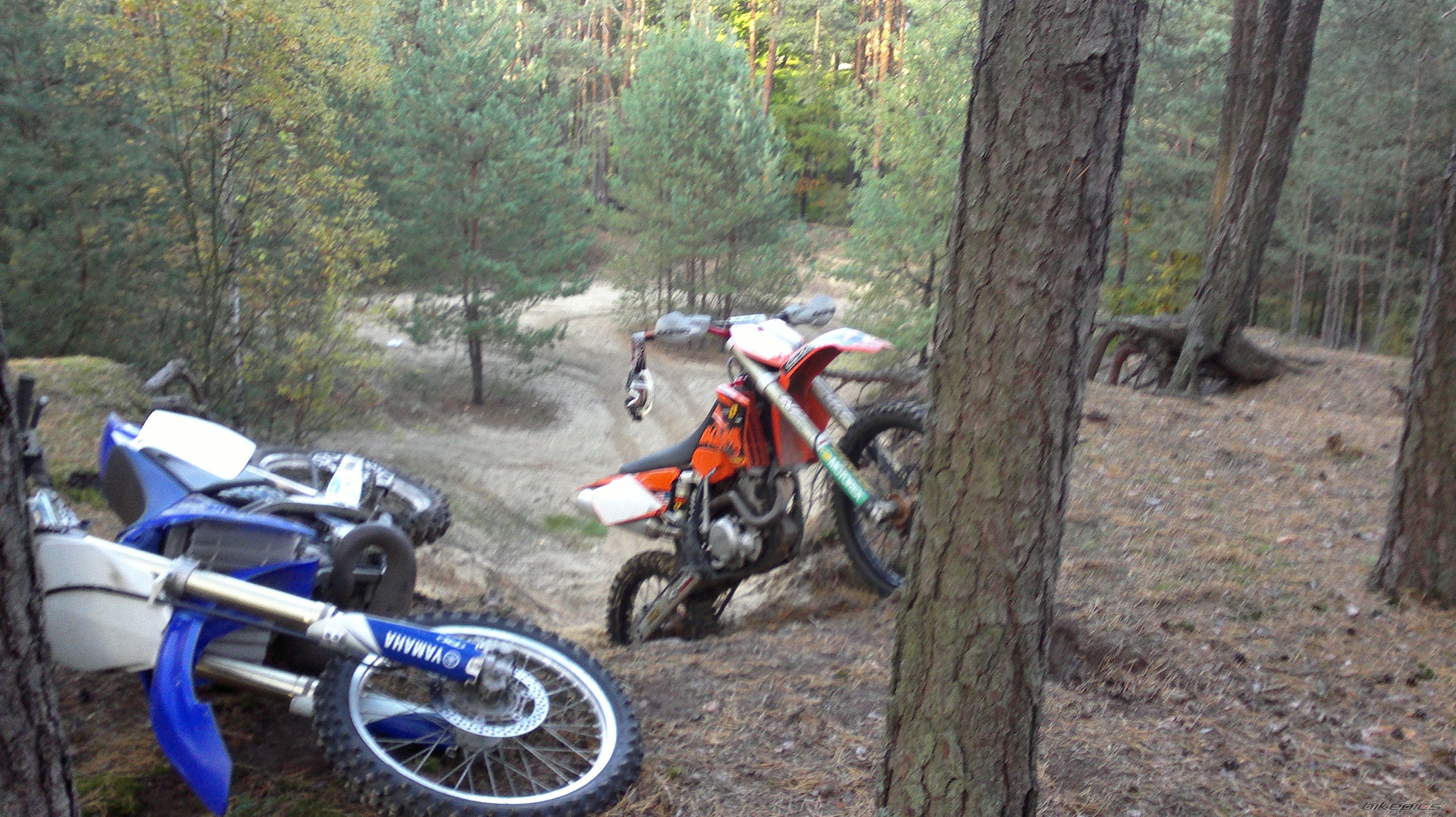 Photo 2471945