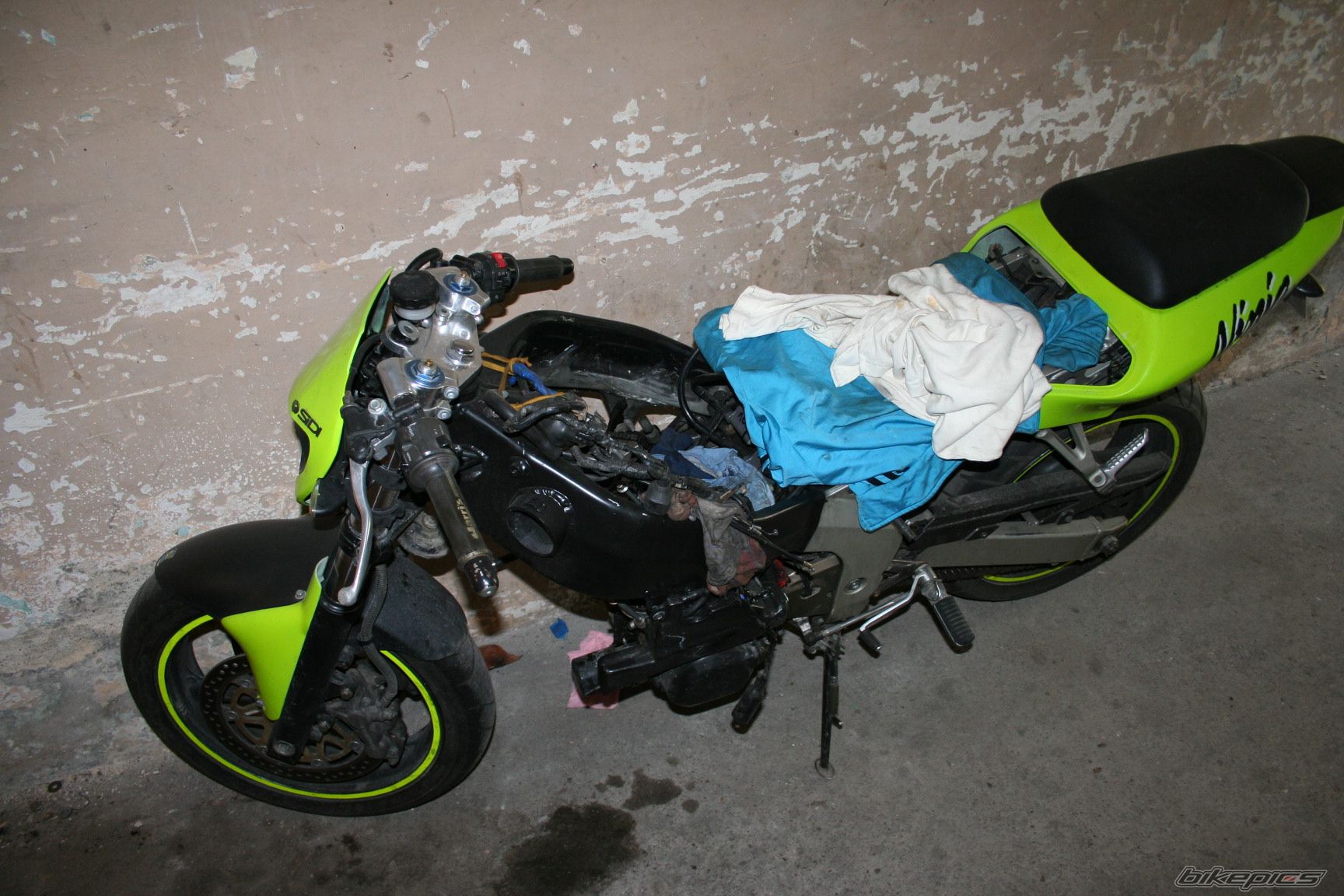 Photo 2471963