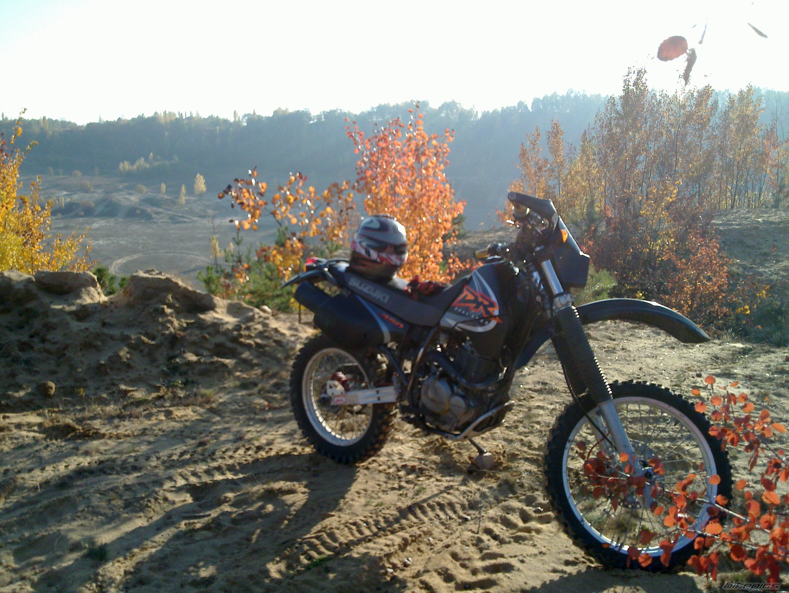 Photo 2471993