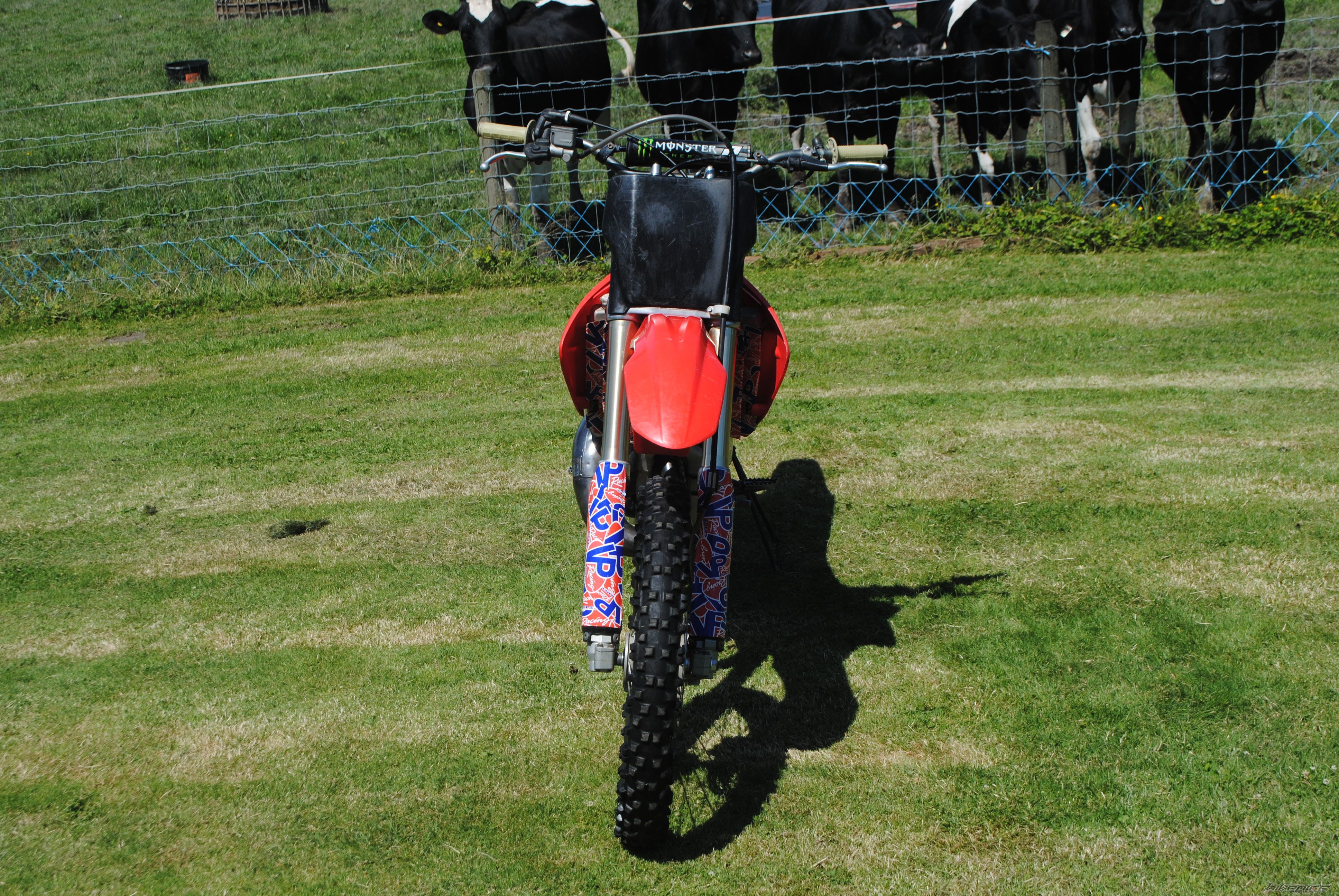 Photo 2472035