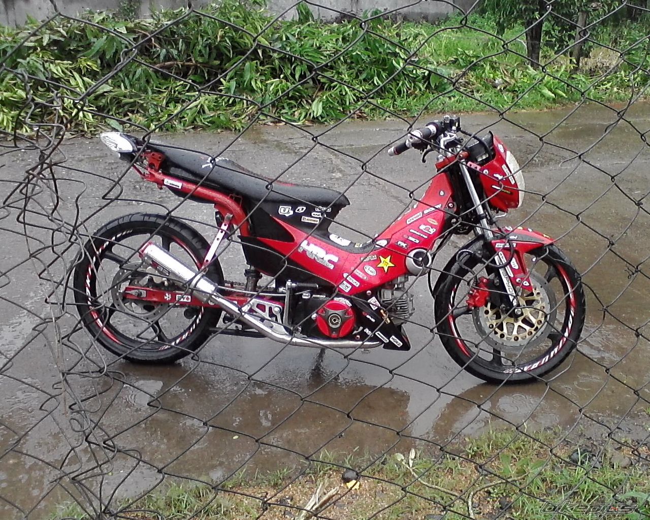 Photo 2472046