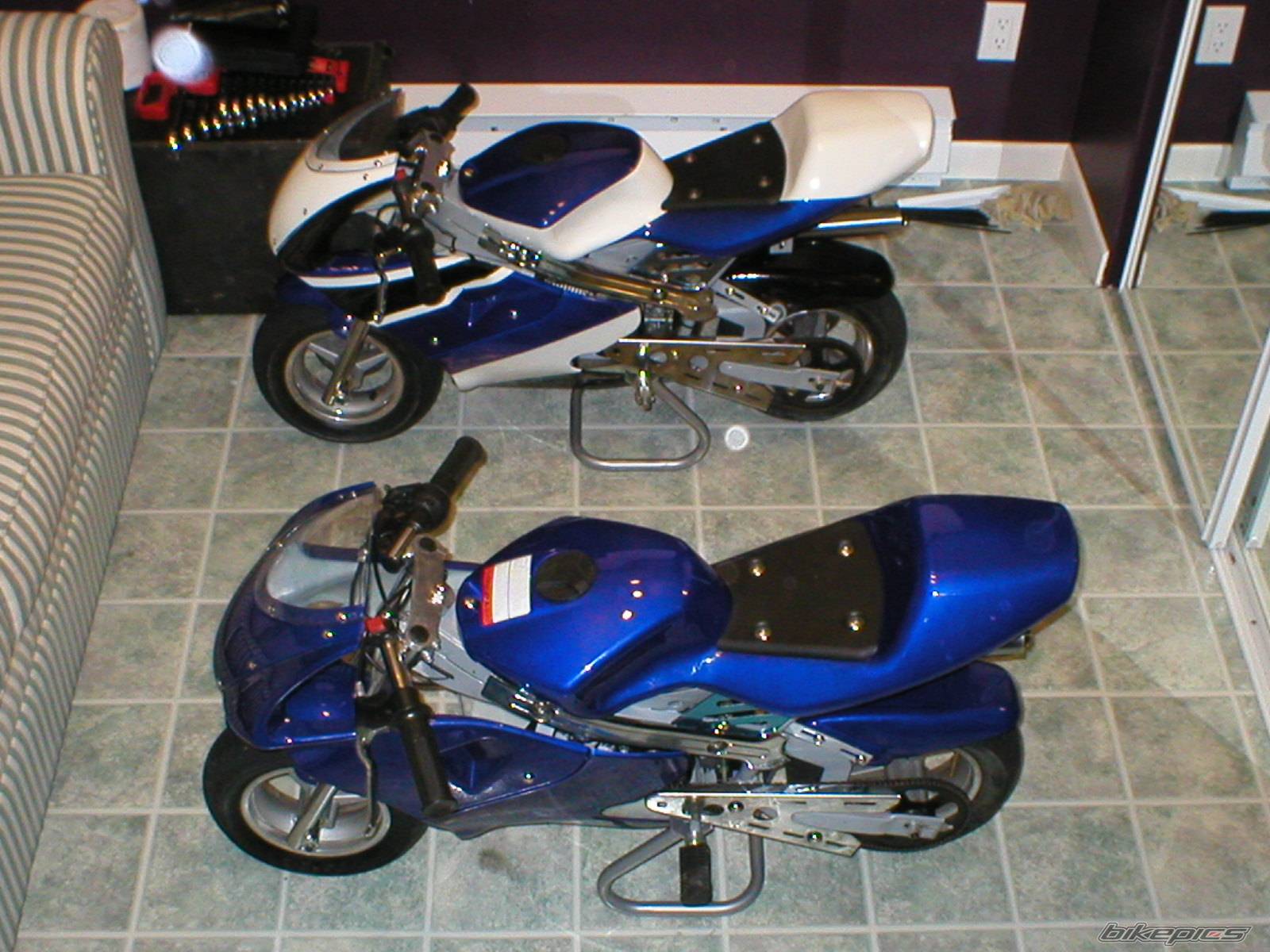 Photo 247207