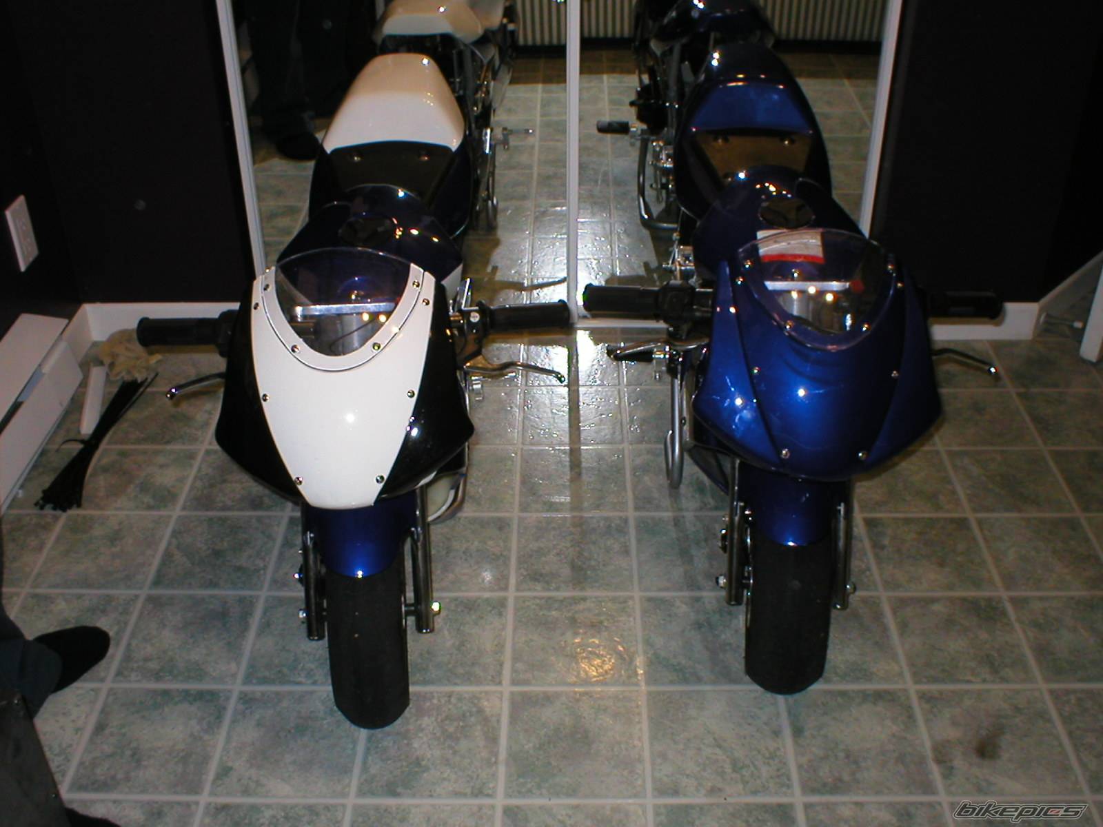 Photo 247208