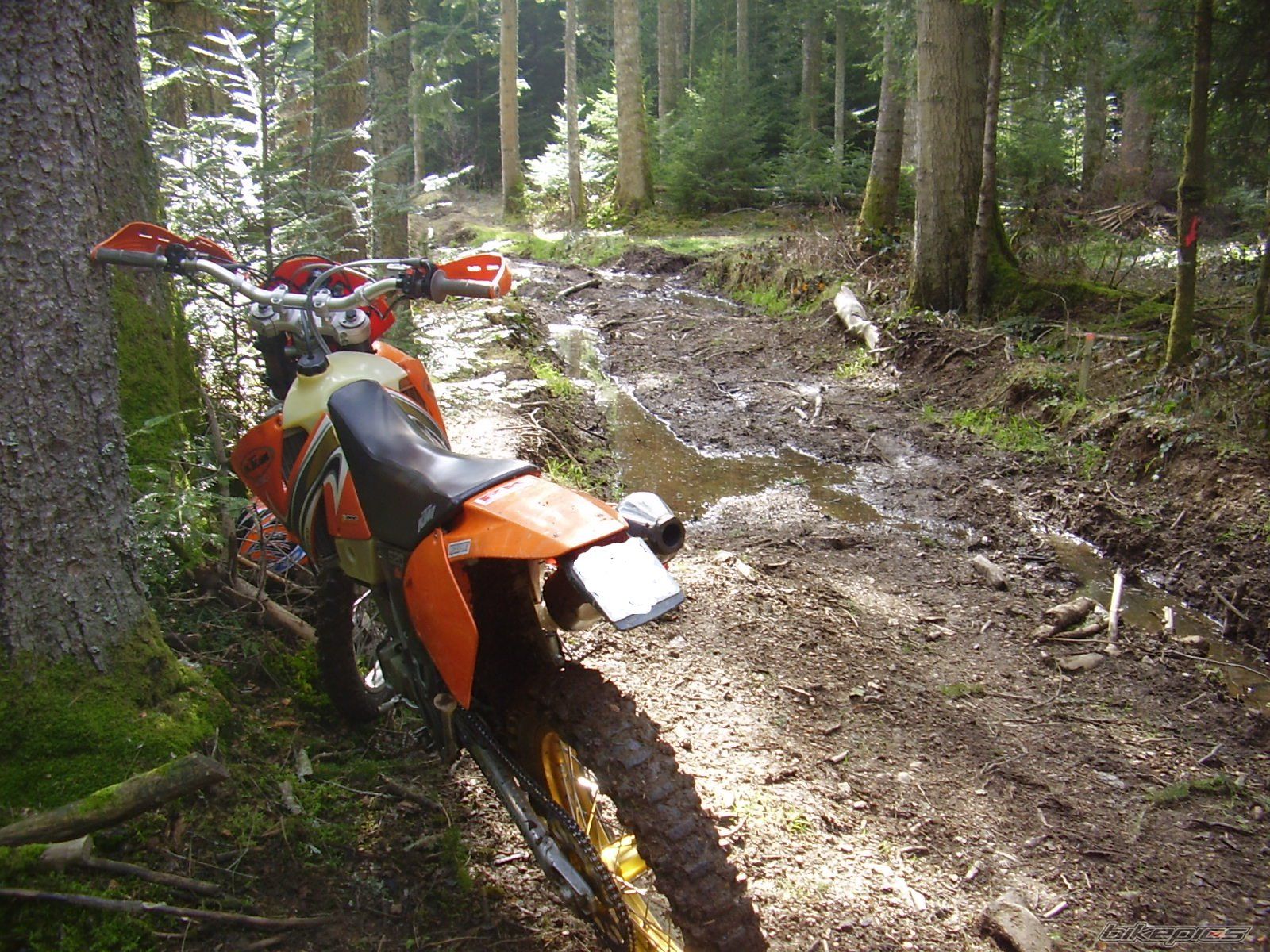 Photo 2472224