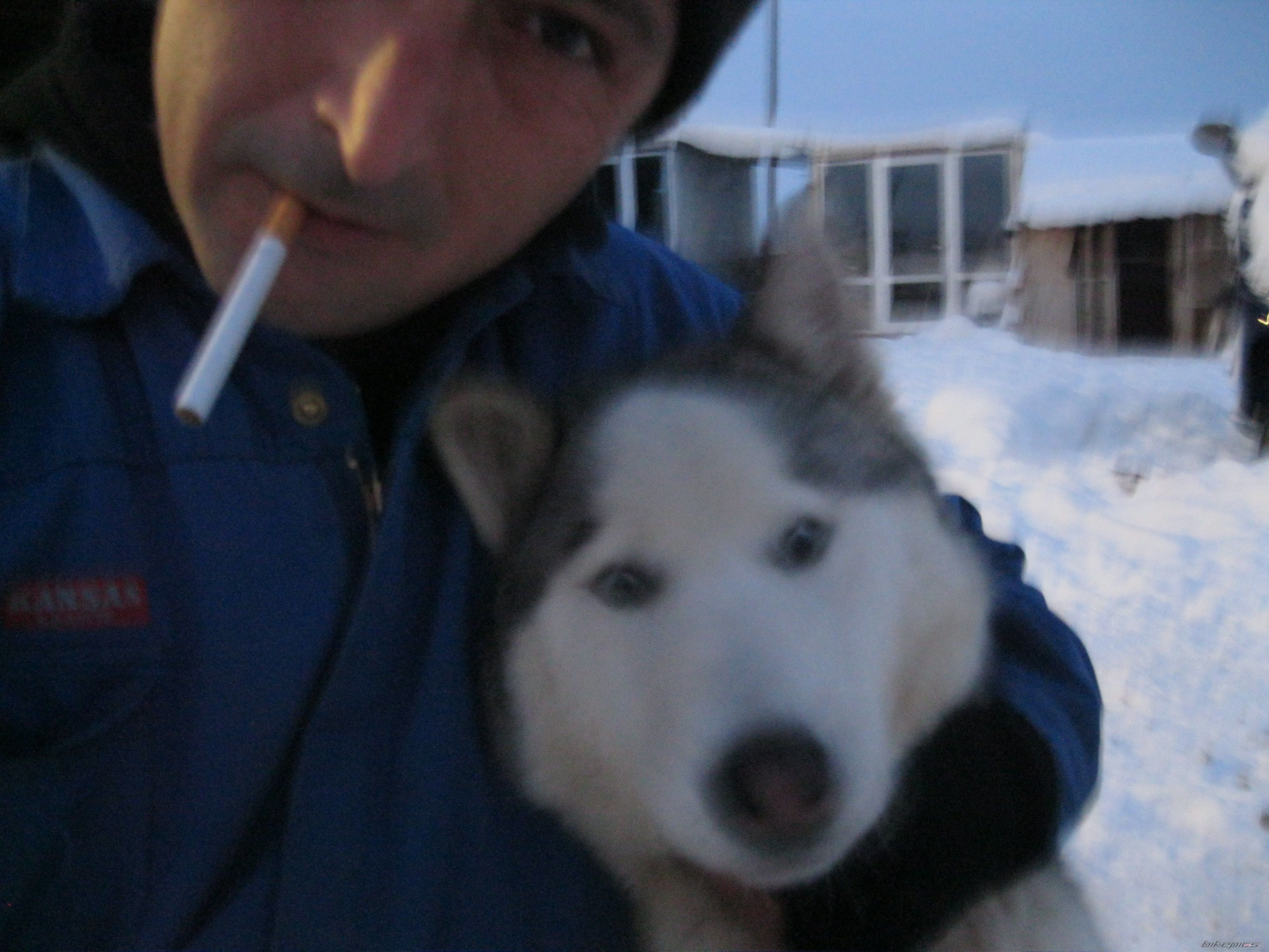 Photo 2472243