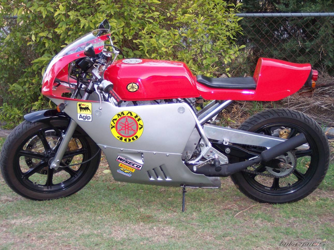 Photo 247243