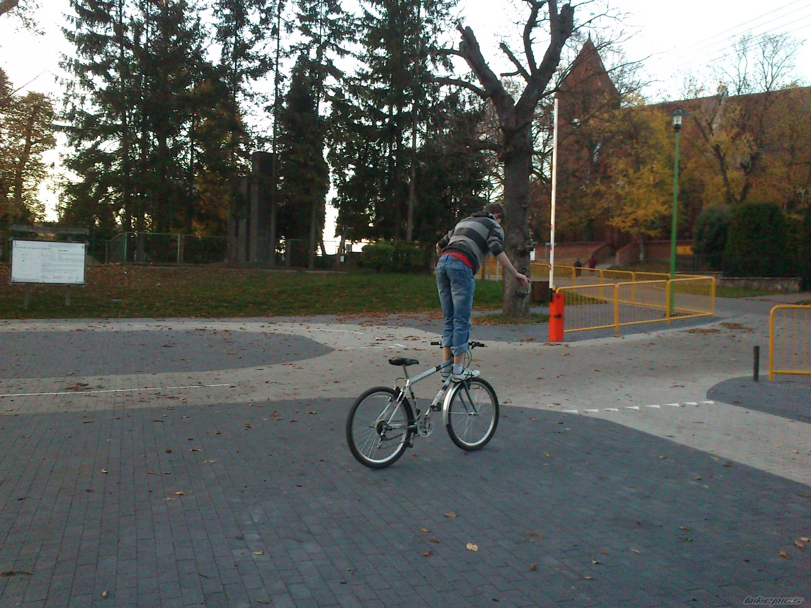 Photo 2472489