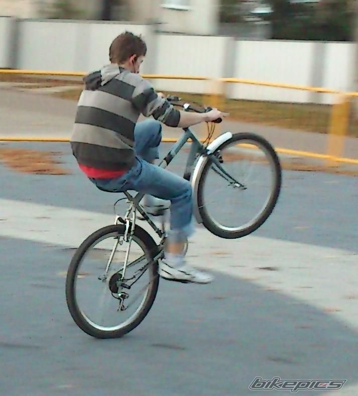 Photo 2472491