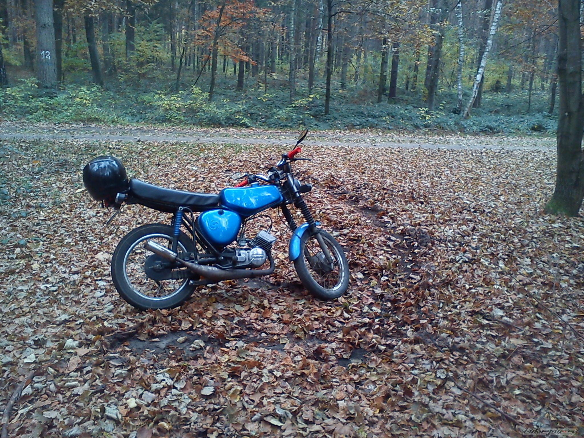 Photo 2472499