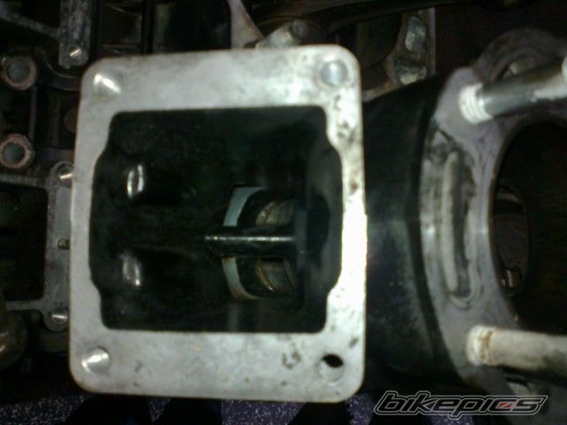 Photo 2472587